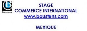 stage au mexique commerce international