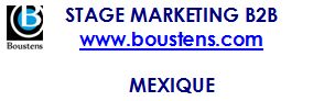 stage web marketing B2B