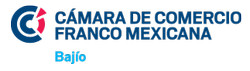 logo ccibajio